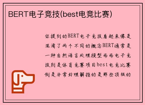 BERT电子竞技(best电竞比赛)