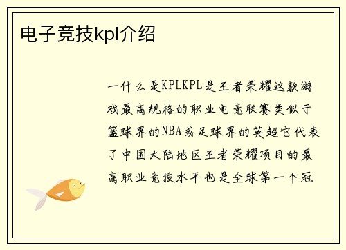 电子竞技kpl介绍